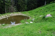 98 Seguiamo i bolli distribuiti male senza indicazioni ...